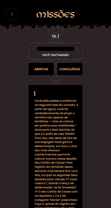 Imagem 4 Projeto App Viking Luzeiros